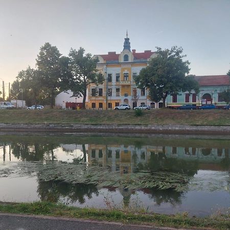 Apartament Pe Malul Raului Bega Timisoara Ngoại thất bức ảnh