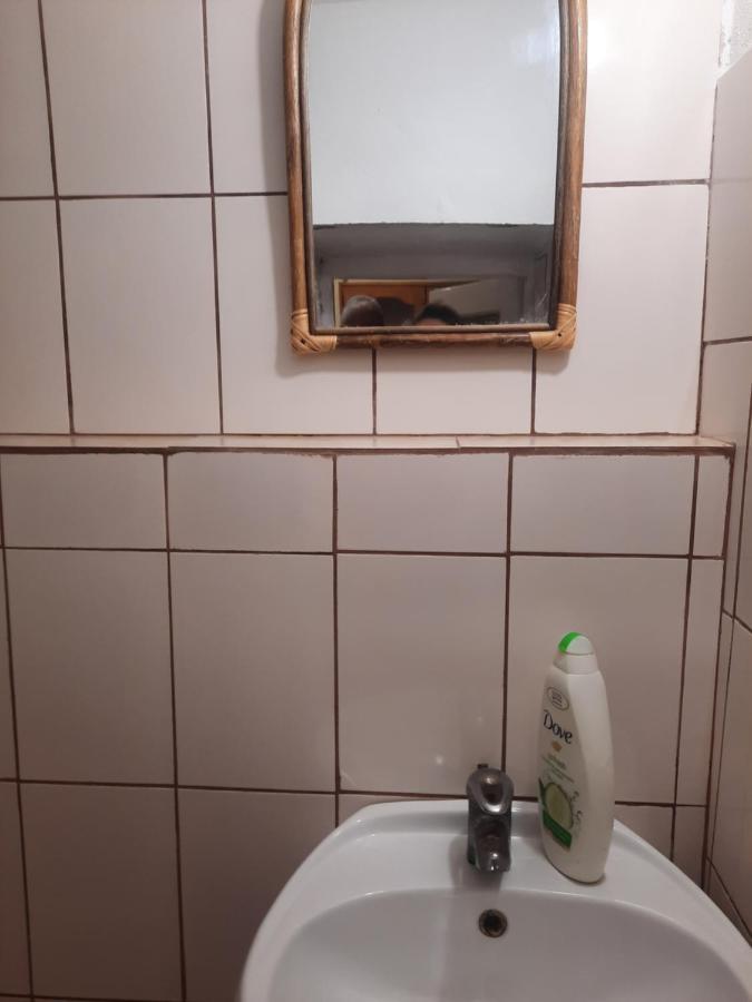 Apartament Pe Malul Raului Bega Timisoara Ngoại thất bức ảnh
